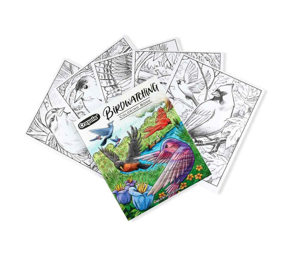 40-Page Coloring Book, Bird Watching - My Little Thieves