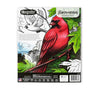 40-Page Coloring Book, Bird Watching - My Little Thieves