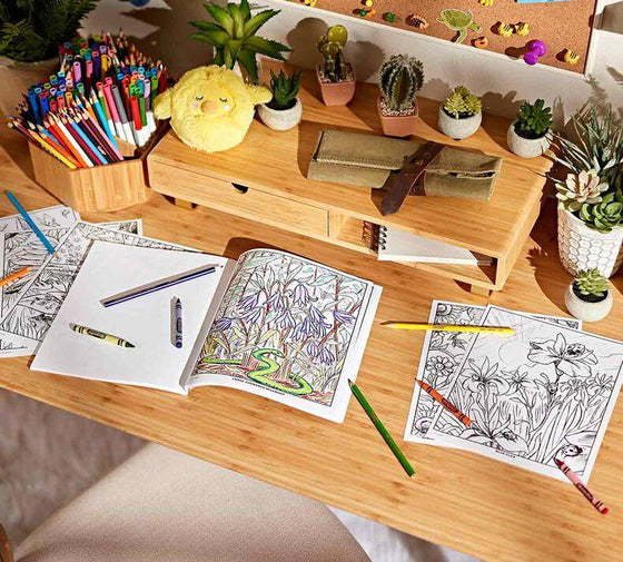 40-Page Coloring Book, Wildflowers - My Little Thieves