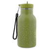 Insulated Water Bottle 350ml - Mr. Dino