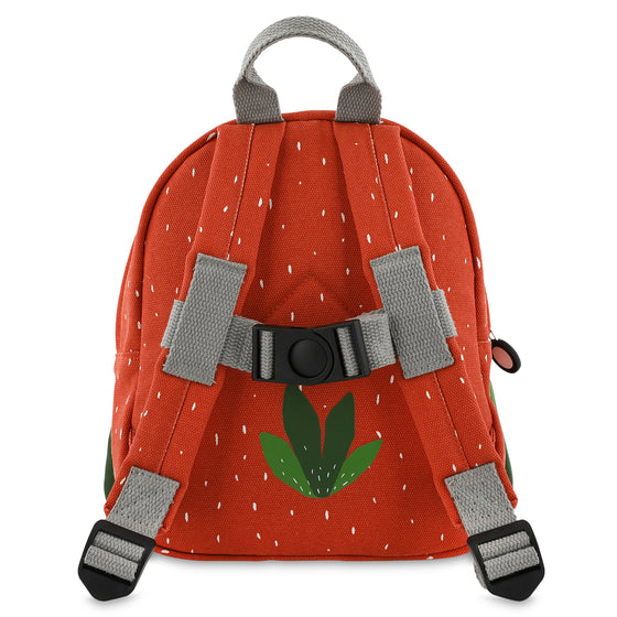 Backpack Small - Mr. Parrot