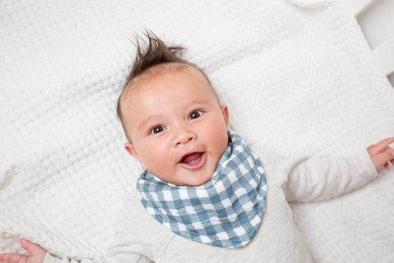 Bandana Bibs - Fish / Navy Gingham - My Little Thieves