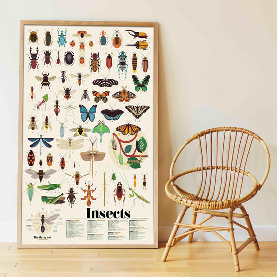 Insects Sticker Poster Discovery - My Little Thieves