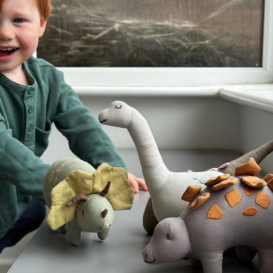 Steggy Linen Dinosaur Toy - My Little Thieves