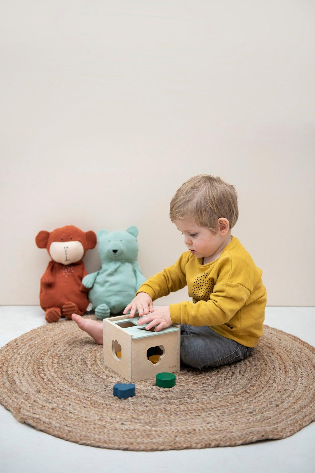  Wooden shape sorter - My Little Thieves